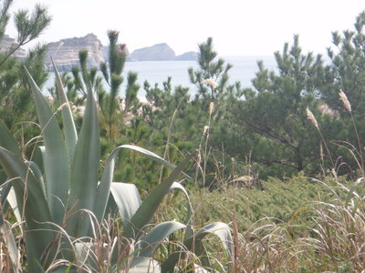 P2052955